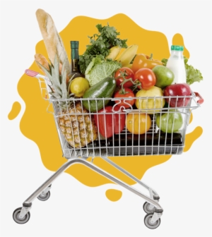 Nós Te Ajudamos Com A Lista De Compras - All About Nutrition & Aging (all About Books) #4110047