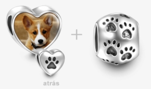 Pets Charms Soufeel Pet Paw Print Personalized #4110330