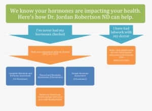 Hormone Flow Chart 2 - Metro North Hospital And Health Service #4110617