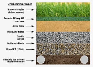 Césped Natural - Marbellla Football Center #4111778