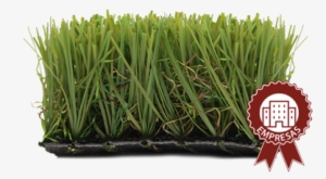 Césped Artificial Master 35mm Especialmente Indicado - Artificial Turf #4111952