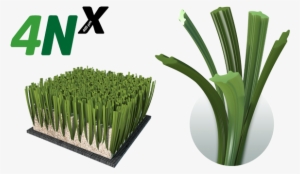 El Césped Perfecto Salta A La Pista - Mondo 4nx #4112169