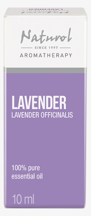 Lavander Oil 10 Ml - More Than 1000 Recipes #4112811