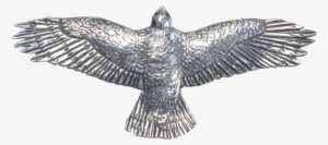 Red-tail Hawk Pin/pendant #4113014