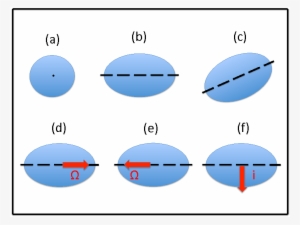 Show More Plots - Circle #4113109