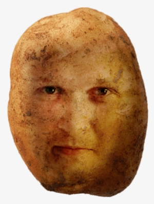 Nato Potato Is Still Recruiting Join Us Now, And Get - Squash #4113154