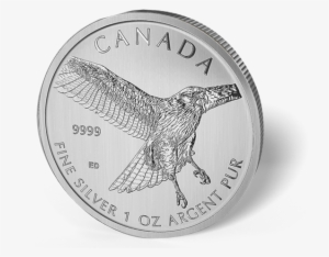 Picture Of 2015 1 Oz Canadian Silver Maple Leaf Red-tail - Red-tailed Hawk #4113209