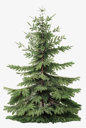 Un Arbol Para Tus Imagenes Navideñas En Estilo Vintage #4113210