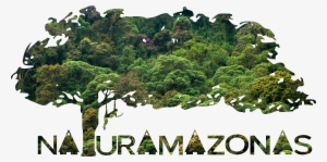 Logo Arbol Bosque #4113231