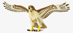 Buy Action Figure Safari Red-tailed Hawk 151029 Elkor - Red Tailed Hawk Toy #4113285