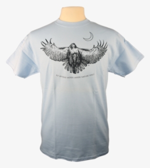 Red-tailed Hawk - Bald Eagle #4113709