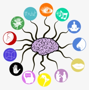 In Your Everyday Life, Do You Yourself Use Technology - Other Senses #4113842