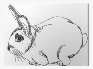 Isolated Cartoon Outline Rabbit On White - Illustration #4113934