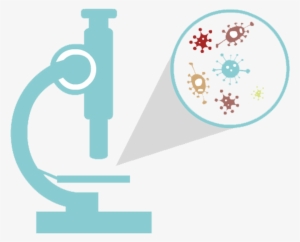 Clip Art Library Library Bacteria Vector Bacterial - Microscope Bacteria Clip Art #4114263