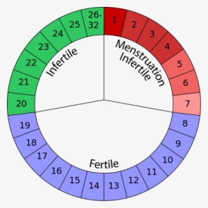 The Arizona Fertility, Ovulation, And Pregnancy Calendar - Ovulation Period #4114519