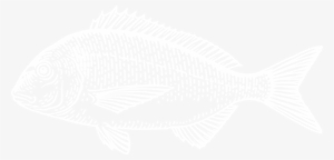 Fish Illustration - Illustration #4114587