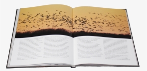 With Heavy Imagery Using The Original As A Model But - Flock #4114774