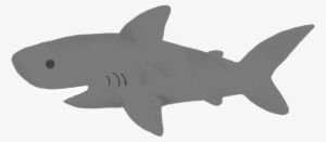 From Snakes To Cats - Great White Shark #4114971