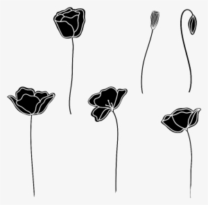 Black And White Hand Drawn Flower - Flores Branco E Preto #4115443