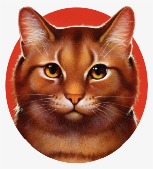 Omen Of The Stars Warriors The Forgotten Warrior #4115928