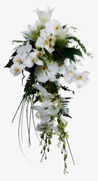 Calas Blancas - Flower #4116327