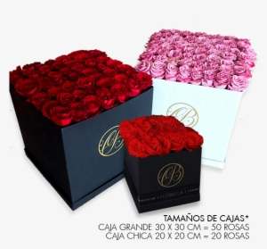 Caja Cuadrada De Rosas Lila - Garden Roses #4116731