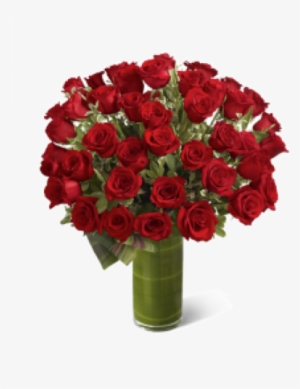 Avis - Valentine Roses #4116774