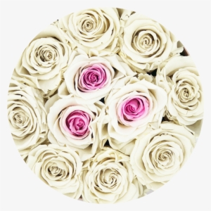 Rosas Blancas Png #4117032