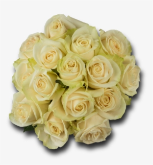 Whites - Garden Roses #4117121