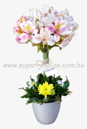 Arreglos Florales Envió De Flores, Desayunos Y Regalos - Peruvian Lily #4117135