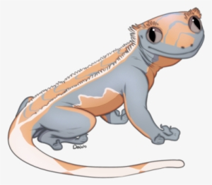 Crested Gecko Coloring Page - Crested Gecko Clip Art - Free Transparent ...