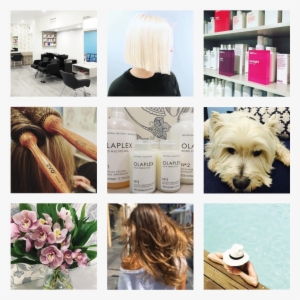 Template For Collage - Collage #4119369