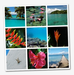 8" X 8" Collage - Creative Arts #4120002