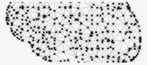 Concerns About Light's Pernicious Health Effects Are - Brain Network Ai Black White #4120978
