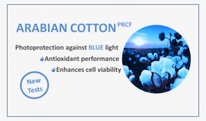 Blue Light Photoprotection - Photoprotection #4121011