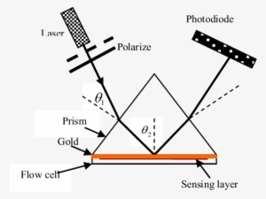 Spr Setup Consists A Laser, A Chopper, A Polarizer, - Laser #4121727