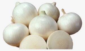 A Herbal Onion - White Castle Onion 200 Seeds #0611 Item Upc#650348691981 #4121838