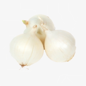 White Onions - Garlic #4122009
