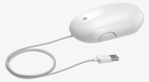 A Grade - Mouse #4122384