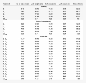 Effect Of Different Spacing And Planting Time On Growth - Result #4122527