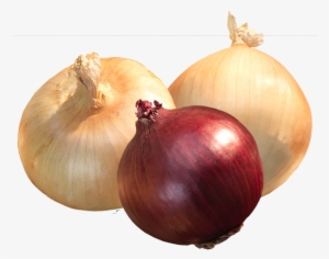Onions - Onion #4122737