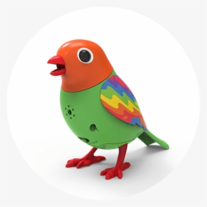 Raindrop4 - Digibirds Gif #4123536