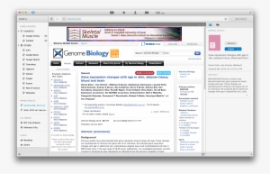 To Import A Paper, Click On The Import Button - Various Uses Of Paper #4124647