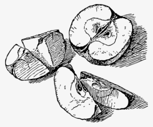 Sliced Apple Clipart Png For Web - Black And White Clipart Drawing Apple #4126420