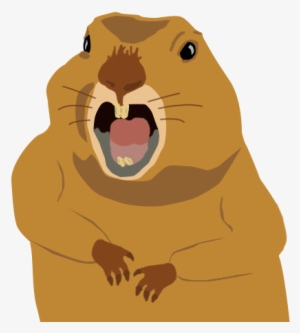 59kib, 580x580, Pocketgopher - Gopher Png #4126579