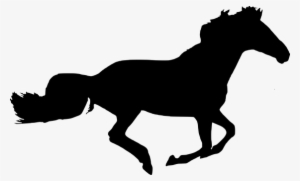 Silhouette, Horse, Isolated, Black - Sphynx Cat Clip Art #4127048