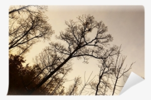 Stock Photography #4127163