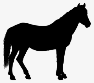 Horse, Silhouette - - Horse Silhouette Png #4127275