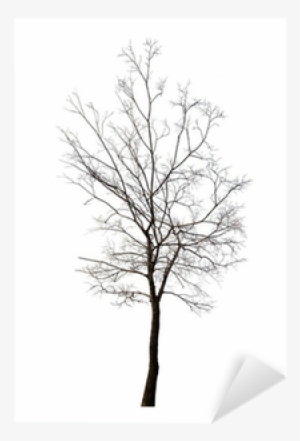 Canvas Print #4127324
