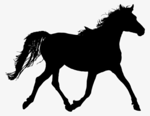 And - Arabian Horse Clip Art #4127542